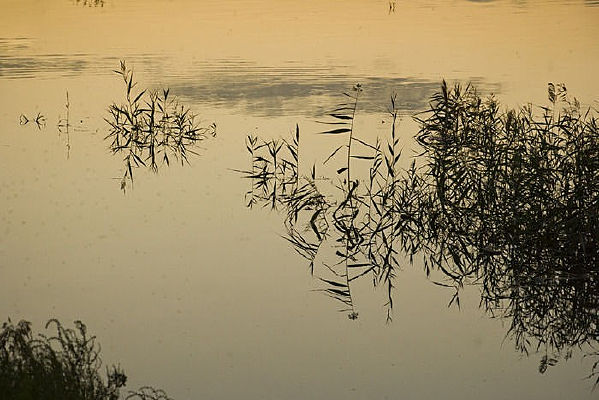 ����ˮ��