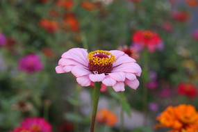 ���վ���д