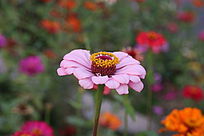 ���վ���д