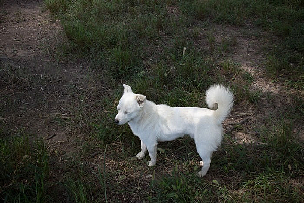 �ݵ��ϵĹ���