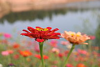 ������������վ�