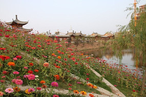 ������һƬ���վ�