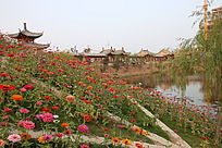 ������һƬ���վ�