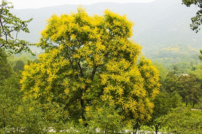 ���ͻ���