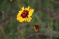 ��ɫ���վ���д