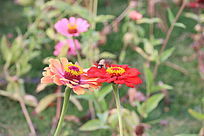 ������վ�