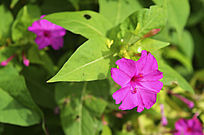 ʢ����ǣţ��