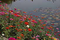 ˮ��һ�԰��վ�