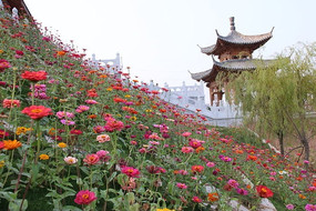 Сͤ��һƬ���վ�