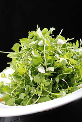 ������Ҷ��