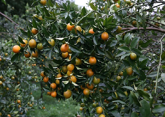 �������ϵĽ��