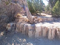 ��ľ������