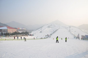 ��ѩ����