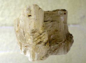 ʯ������