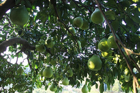 ���ϵ�ɳ��������