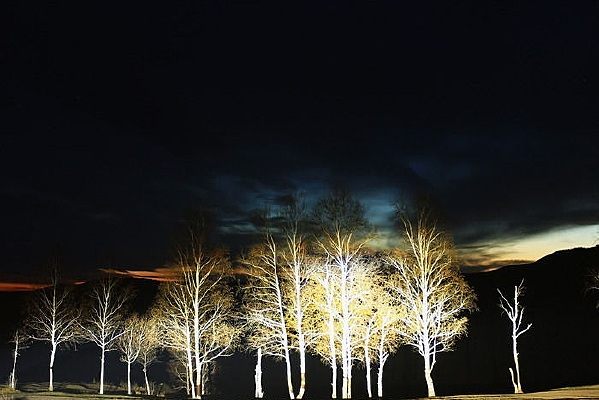 ҹĻ������