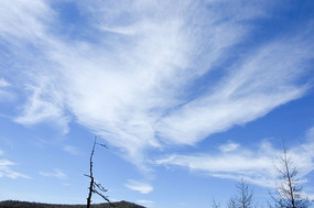 �Ʋ�����