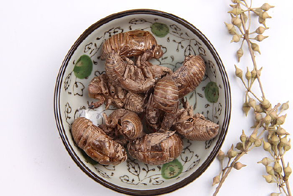 ��ҩ�Ĳ���