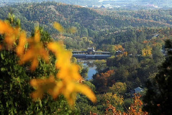 ����ɽ��Ҷ