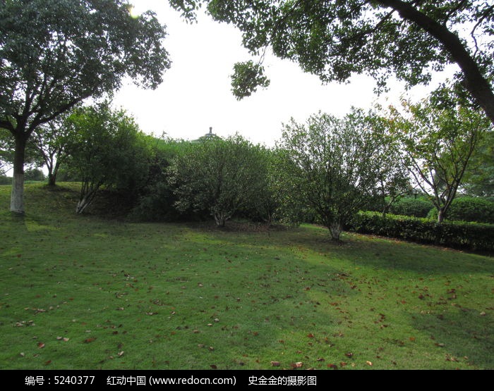 公園草地特寫高清圖片下載_紅動中國