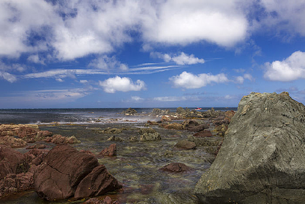 ����ٵĺ���