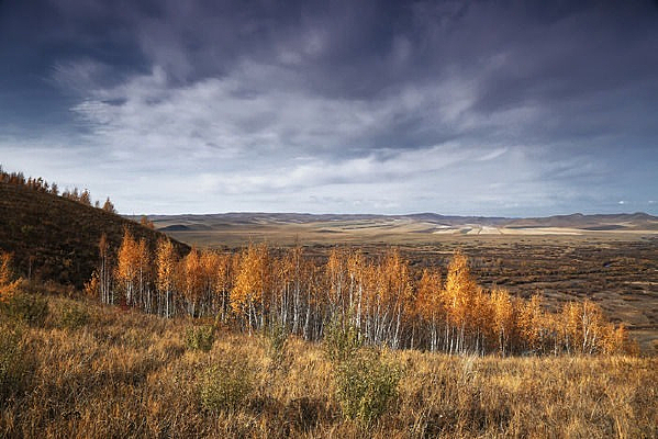 ���ɹź��ױ�������ʪ��