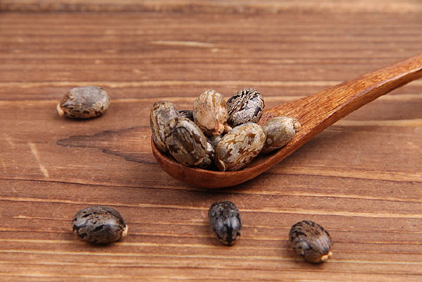 ������ҩ�ı�����