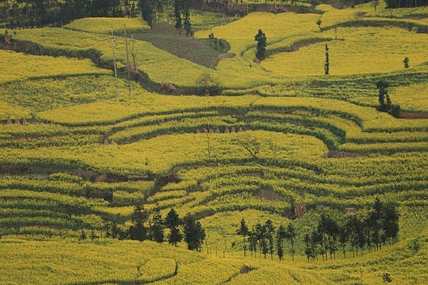 ��ɫ�Ͳ���