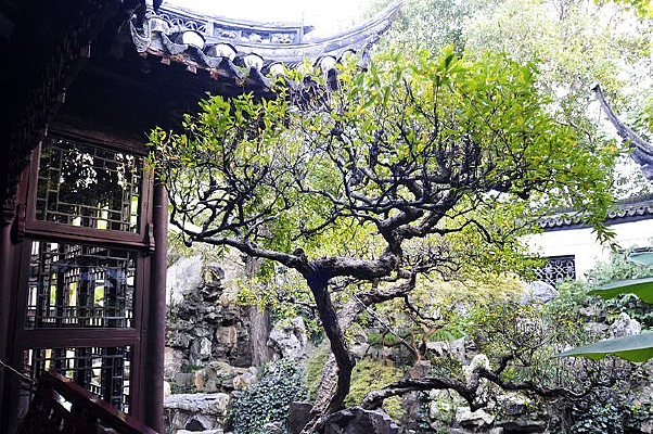 �Ž�����