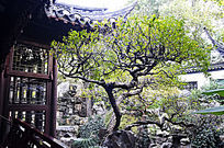 �Ž�����