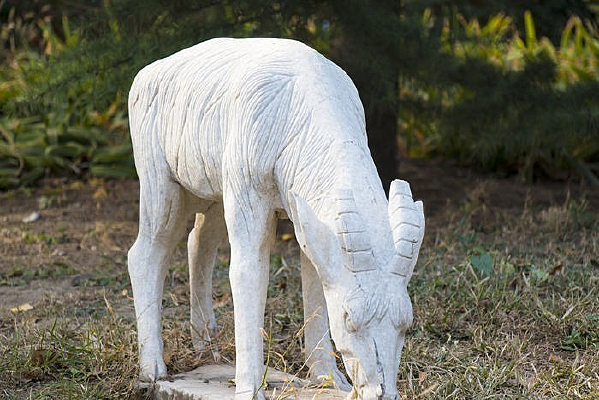 �Բݵ�ɽ�����