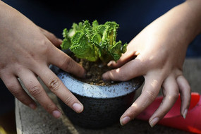 ����ֲ����ֲ����