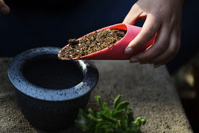 ����ֲ����ֲ�����