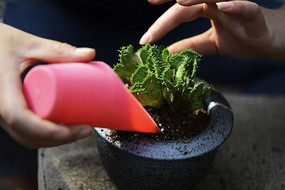 ����ֲ����ֲ����