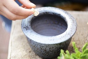 ����ֲ����ֲѡ��