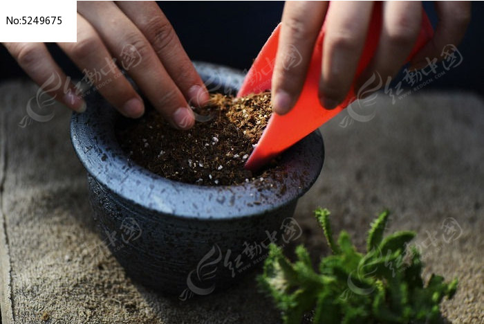 ����ֲ����ֲѹ��ͼƬ