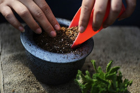 ����ֲ����ֲѹ��