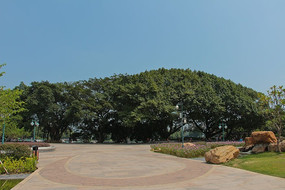 ���������Ĺ㳡