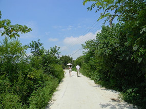 农村道路