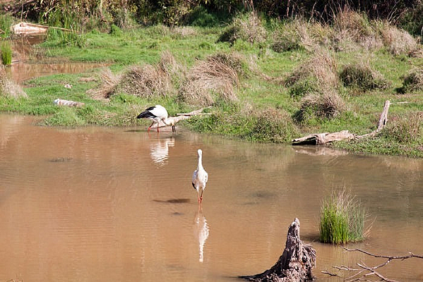 ����ʪ�ع�԰