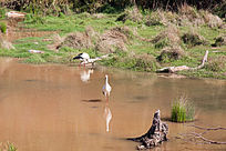 ����ʪ�ع�԰