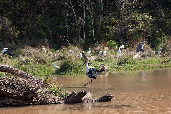 һ������