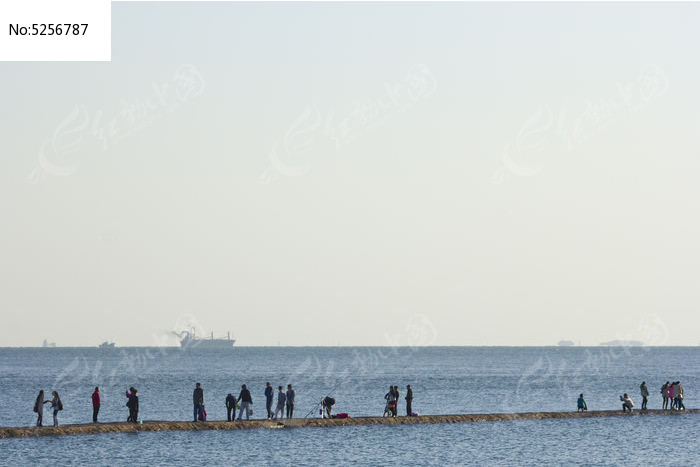 ���ߵ���ͼƬ