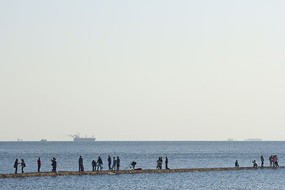 ���ߵ���