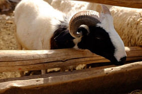 ���ǵ�ɽ��