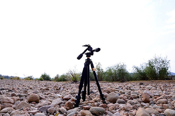 �������ż�