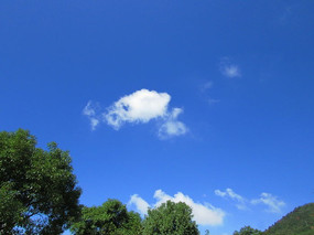 ���������д