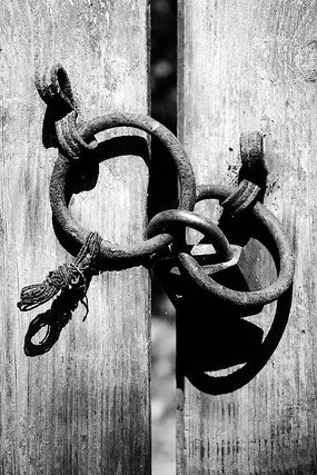 ����ľ��