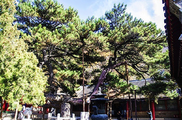 �й�����