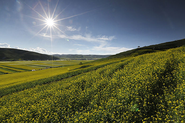 �ຣ��Դ�Ͳ˻���